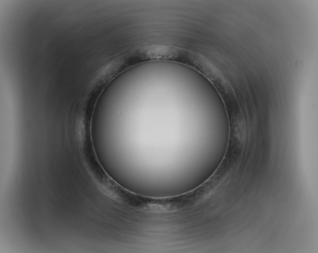 X0000114190690200910161205