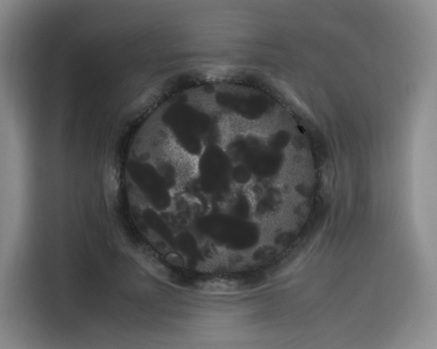 X0000114190691200910161205