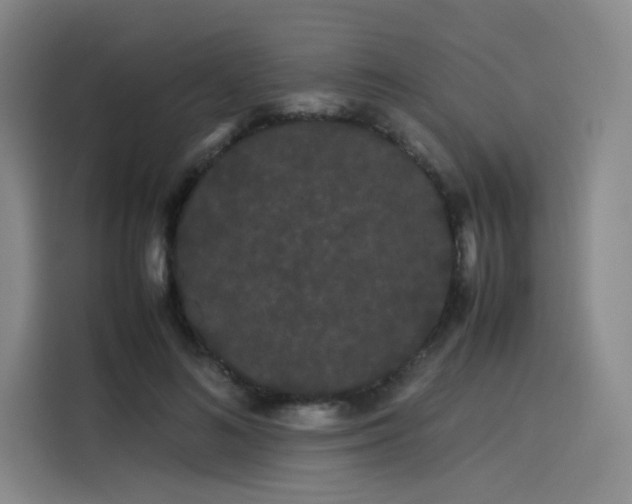 X0000114190692200910161205