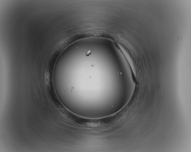 X0000114190693200910161205