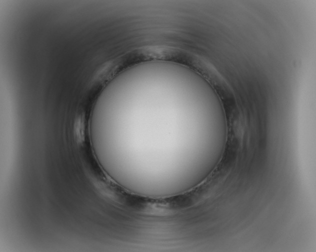 X0000114190694200910161205