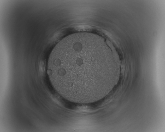 X0000114190695200910161205