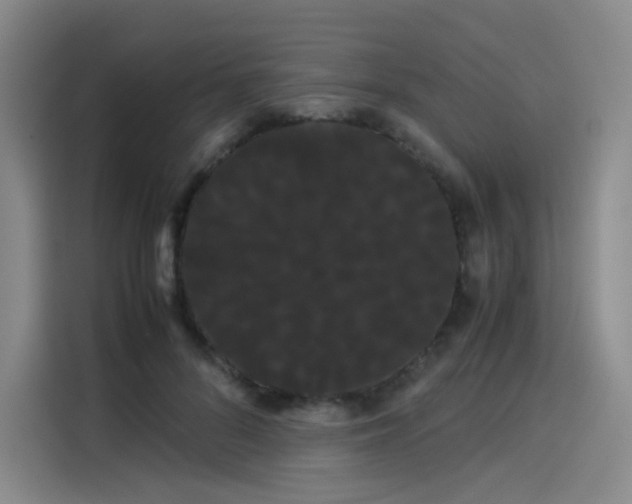 X0000114190696200910161205