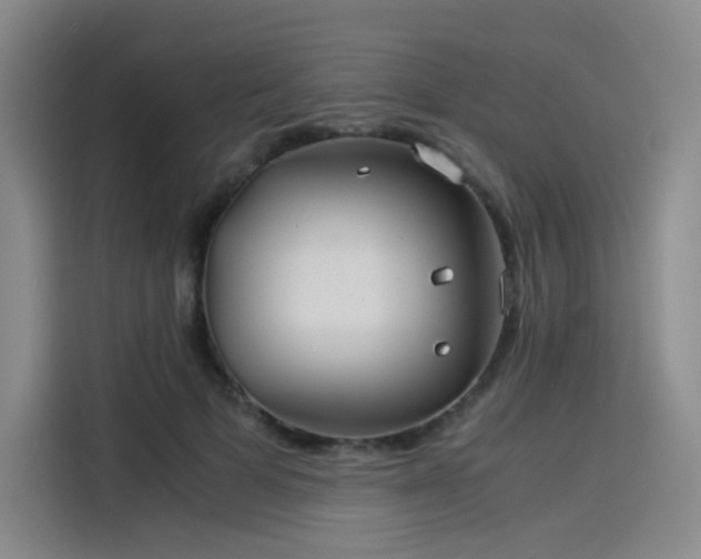X0000114190697200910161205