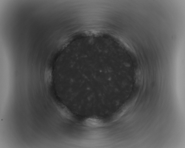 X0000114190699200910161205