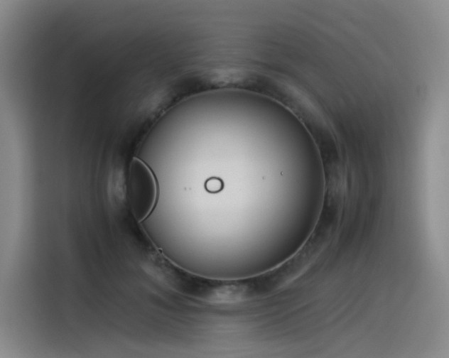 X0000114190700200910161205