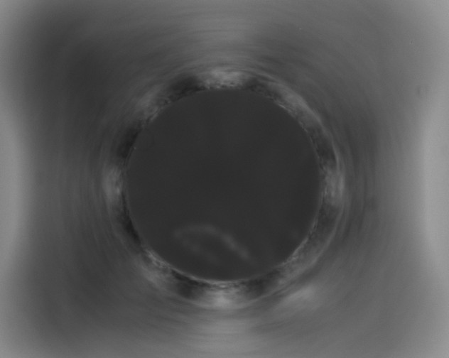 X0000114190701200910161205