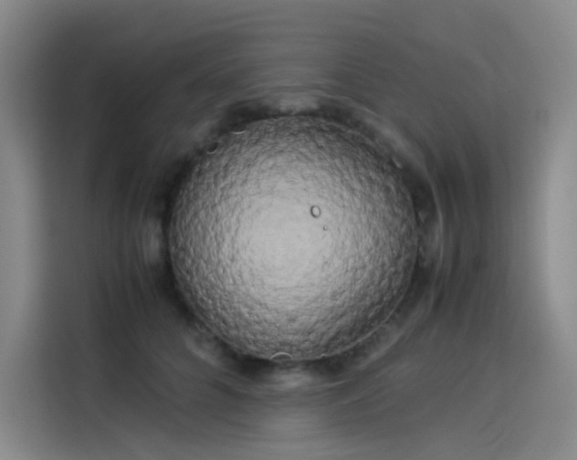 X0000114190704200910161205
