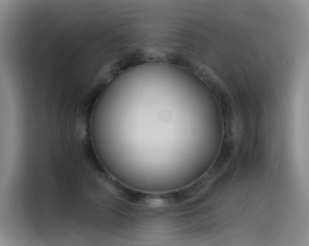 X0000114190706200910161205