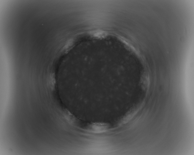 X0000114190707200910161205