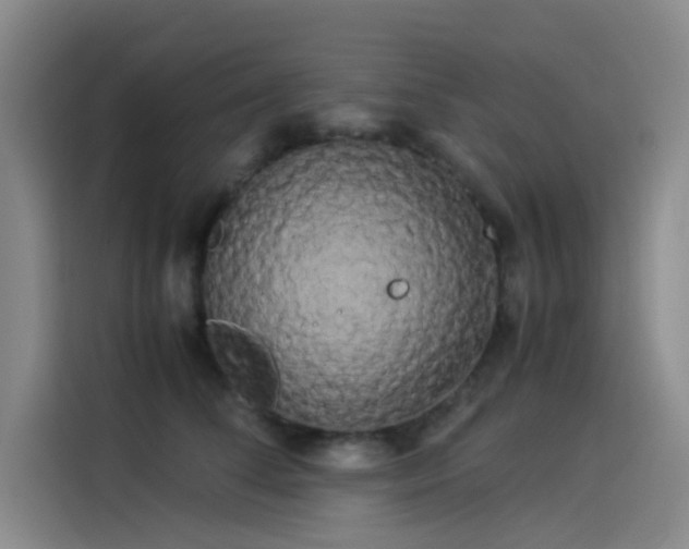 X0000114190708200910161205
