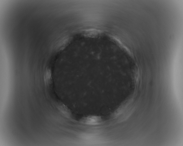 X0000114190711200910161205