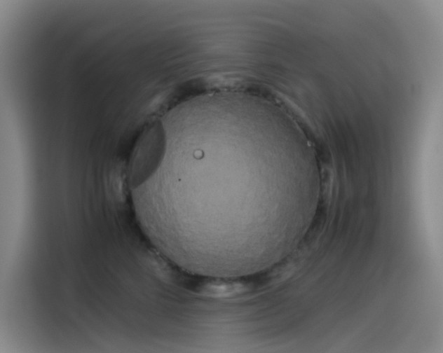 X0000114190712200910161205