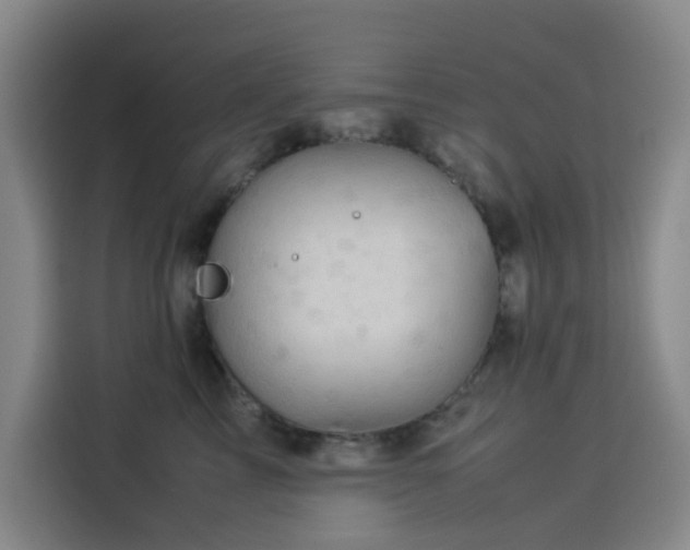 X0000114190713200910161205