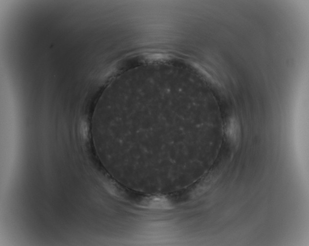 X0000114190715200910161205