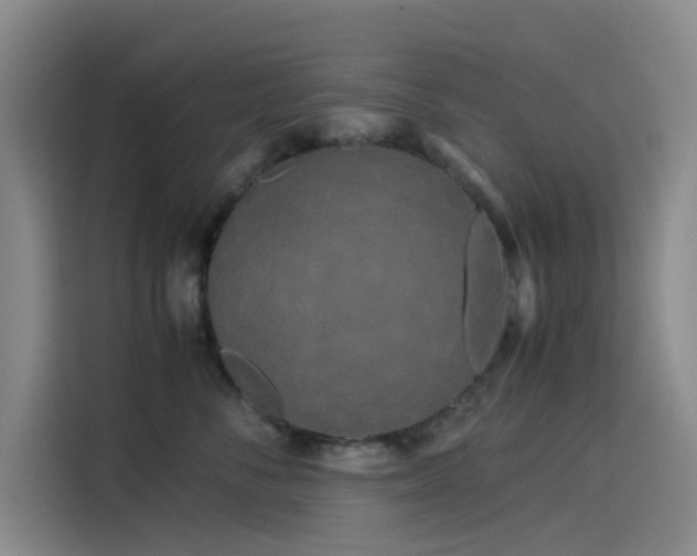 X0000114190716200910161205