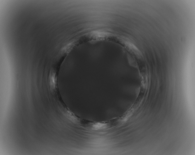 X0000114190718200910161205
