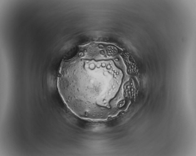 X0000114190719200910161205