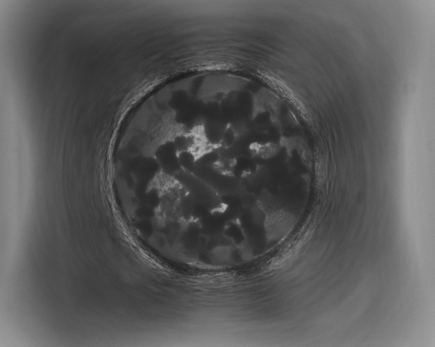 X0000114190721200910161204