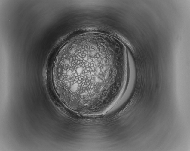 X0000114190722200910161204