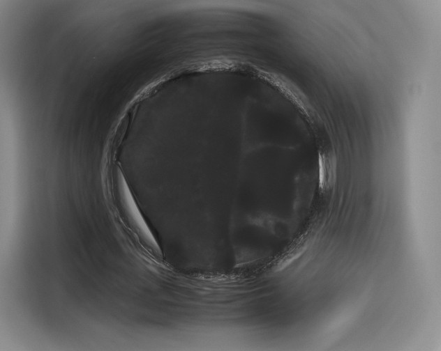 X0000114190723200910161204