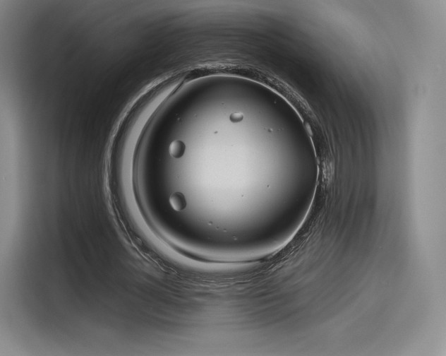 X0000114190724200910161204