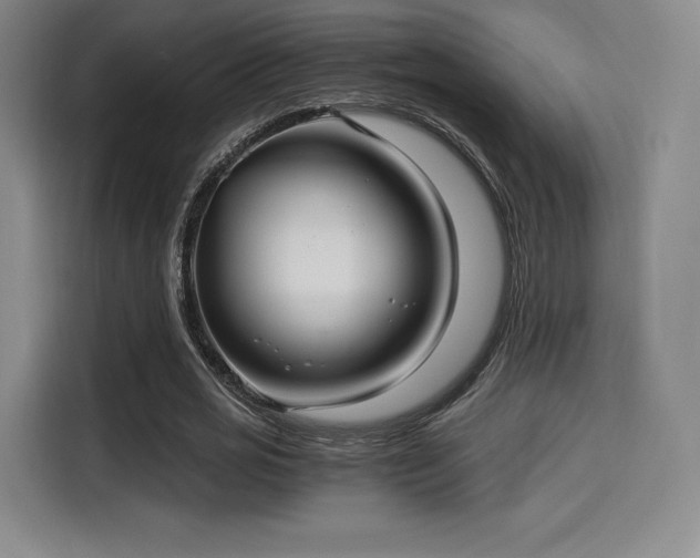 X0000114190725200910161204