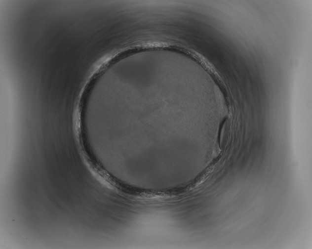 X0000114190726200910161204
