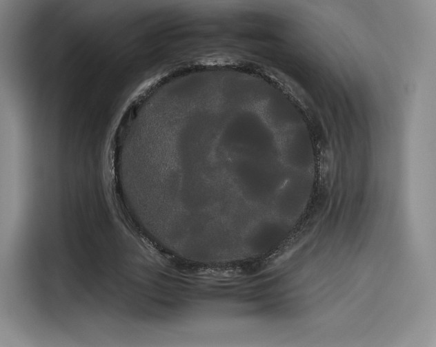 X0000114190727200910161204