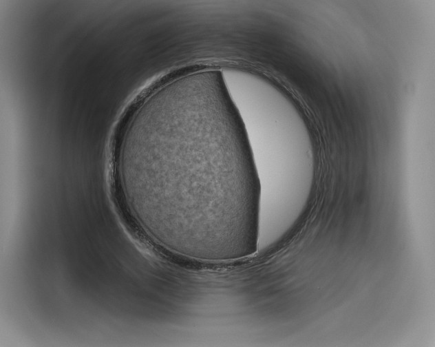 X0000114190728200910161204