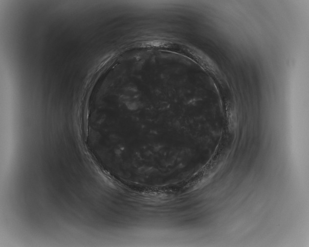 X0000114190729200910161204