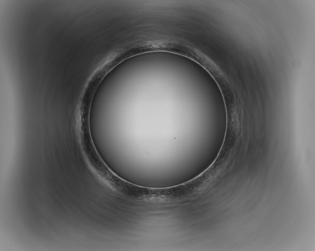 X0000114190730200910161204