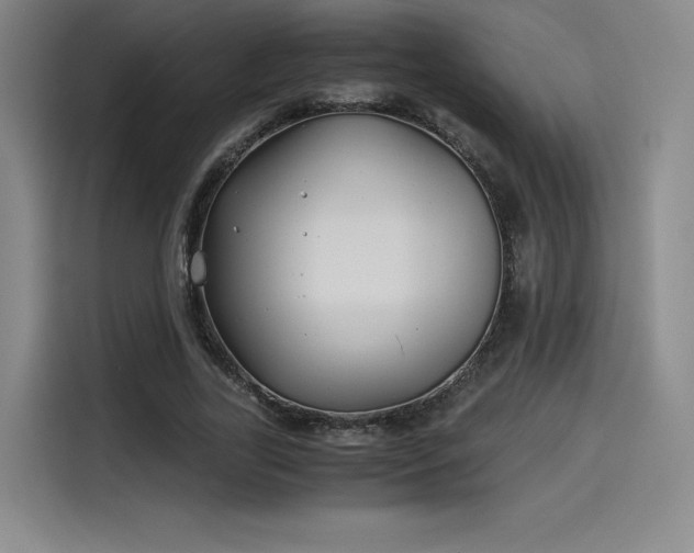 X0000114190731200910161204