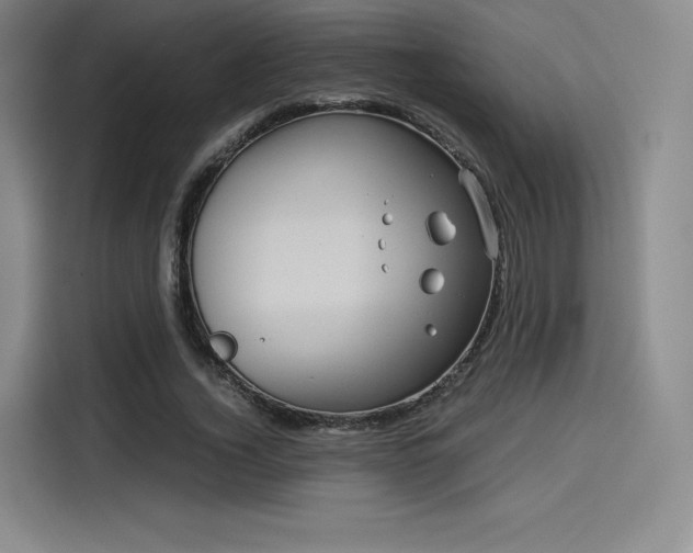 X0000114190732200910161204