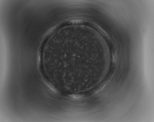 X0000114190733200910161204