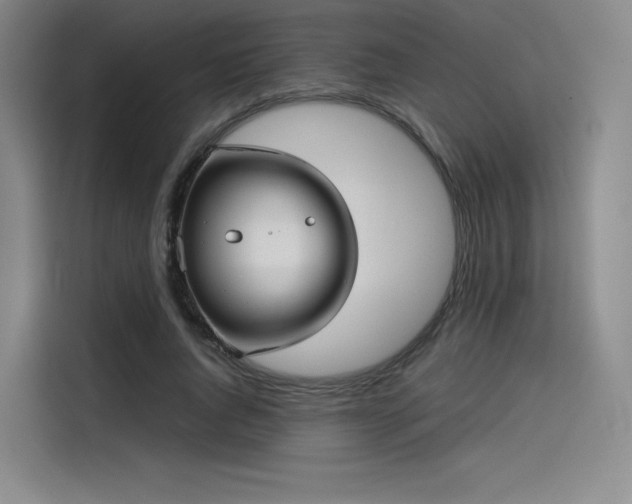 X0000114190736200910161204
