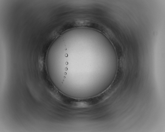 X0000114190741200910161204