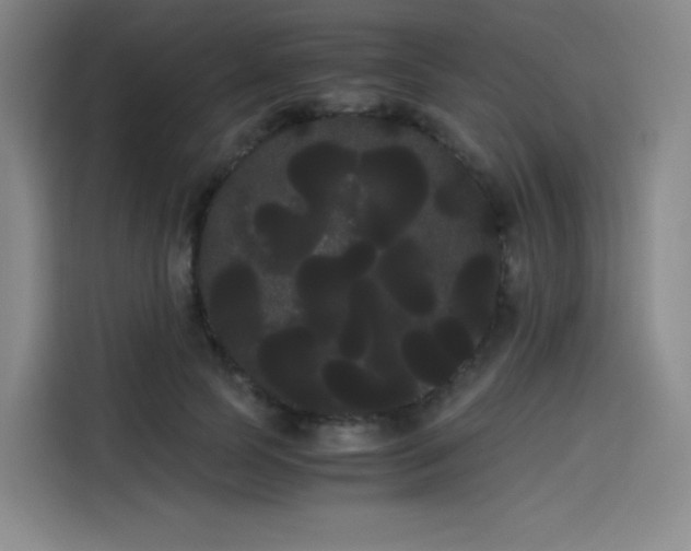 X0000114190745200910161204