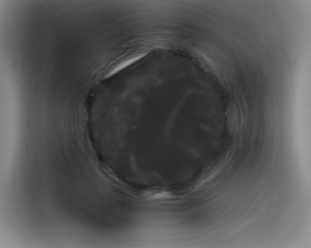 X0000114190747200910161204