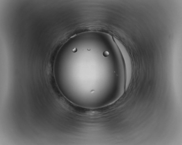 X0000114190748200910161204