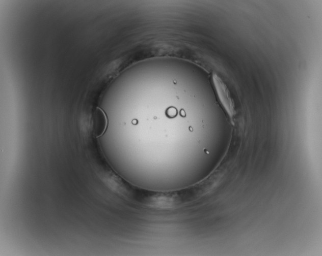 X0000114190756200910161204