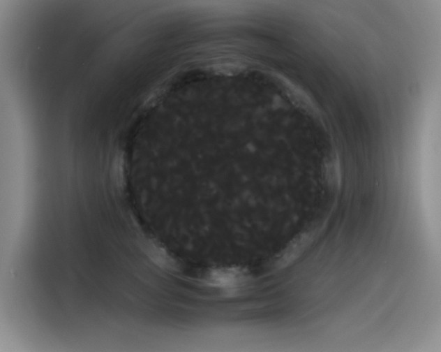 X0000114190757200910161204