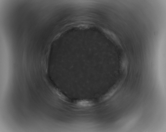X0000114190759200910161204