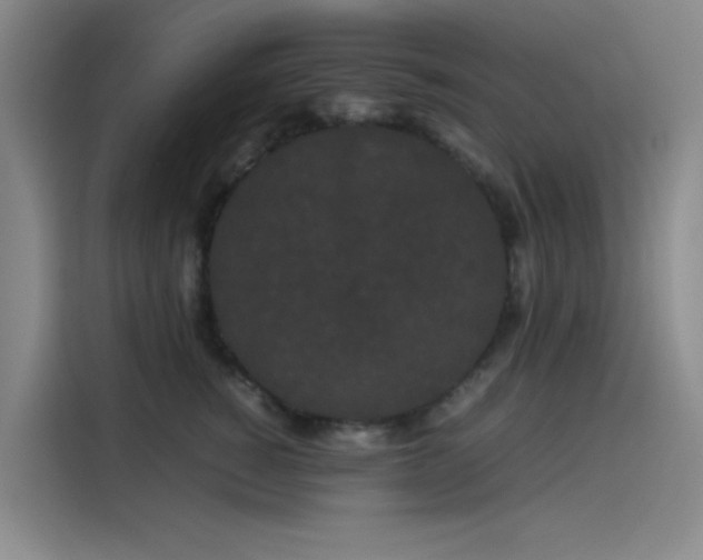 X0000114190760200910161204