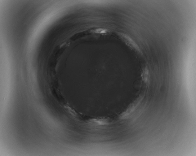 X0000114190763200910161205