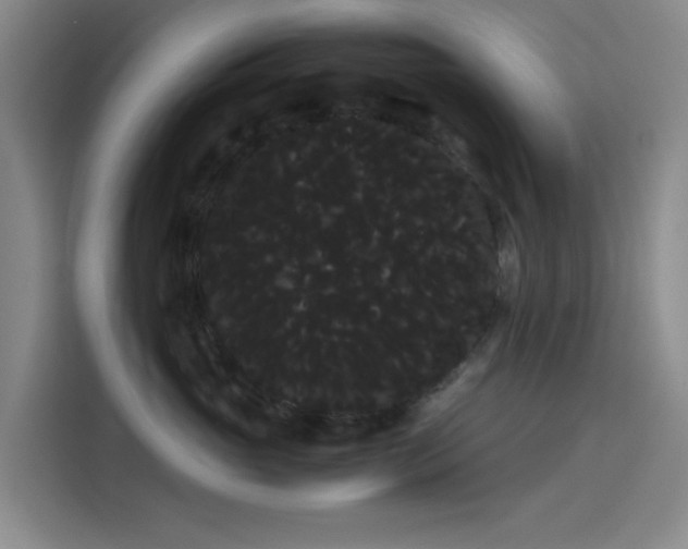 X0000114190765200910161205