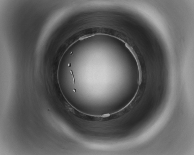X0000114190766200910161205