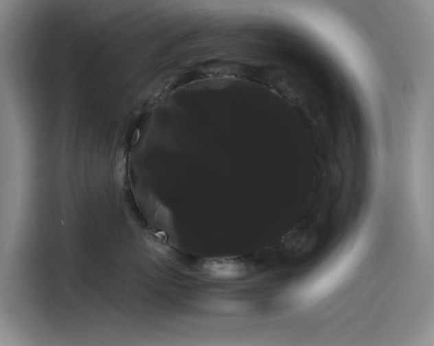 X0000114190767200910161205