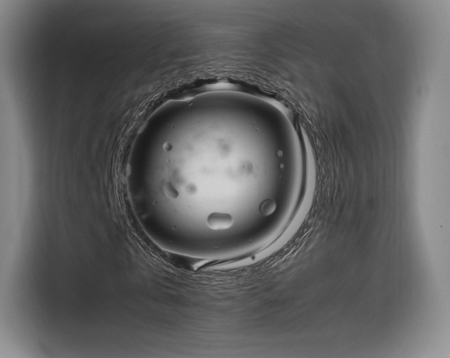 X0000114190769200910161204