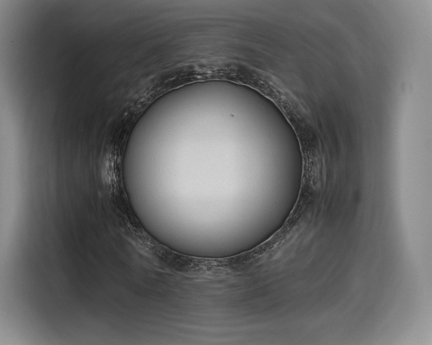 X0000114190770200910161204